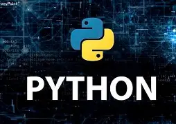 元类： Python创建示例的过程。